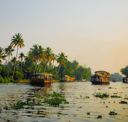 Book cab for backwater sightseeing Alleppey