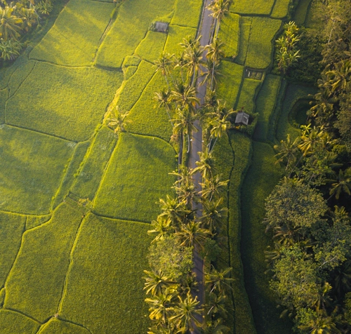 alleppey tour package provider in marari