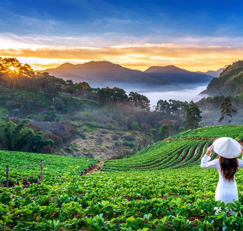 Marari taxi service near me