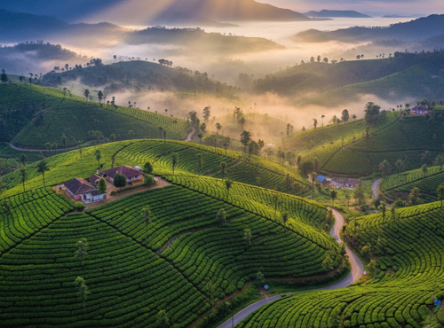 Munnar sightseeing tour with Marari Taxi Service