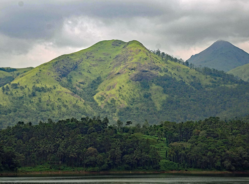 Wayanad sightseeing and adventure tour package